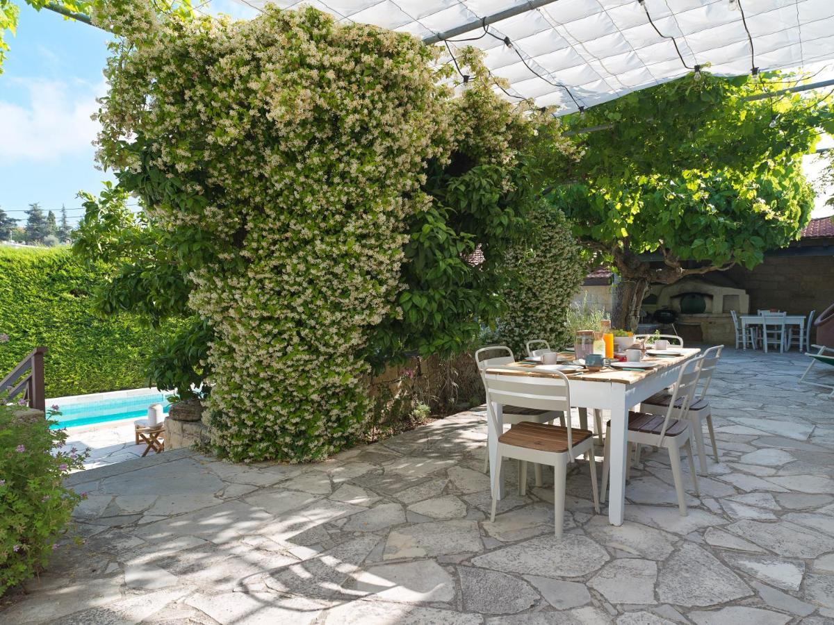 Villa Avgoustis Pachna エクステリア 写真